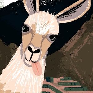 Meet your Posher, Lindsey